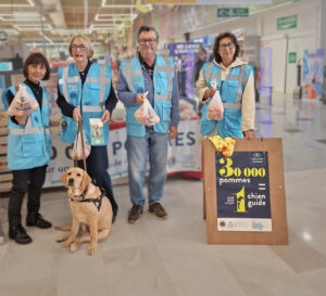 Collecte chien guide aveugle - Lions club de Plaisance du touch